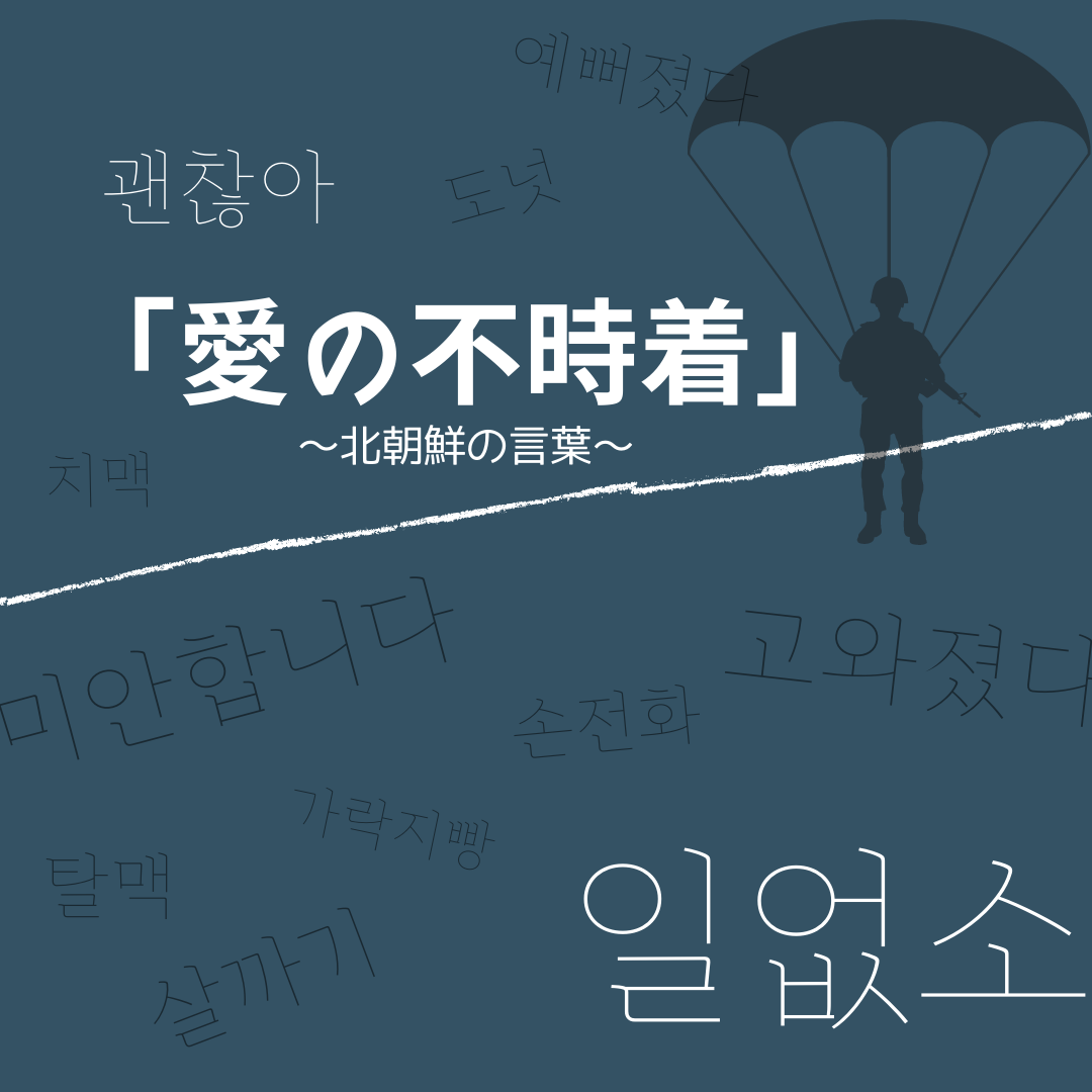愛の不時着 に出てくる 韓国では使わない北朝鮮の言葉 韓国情報まとめサイト Tip ティップ
